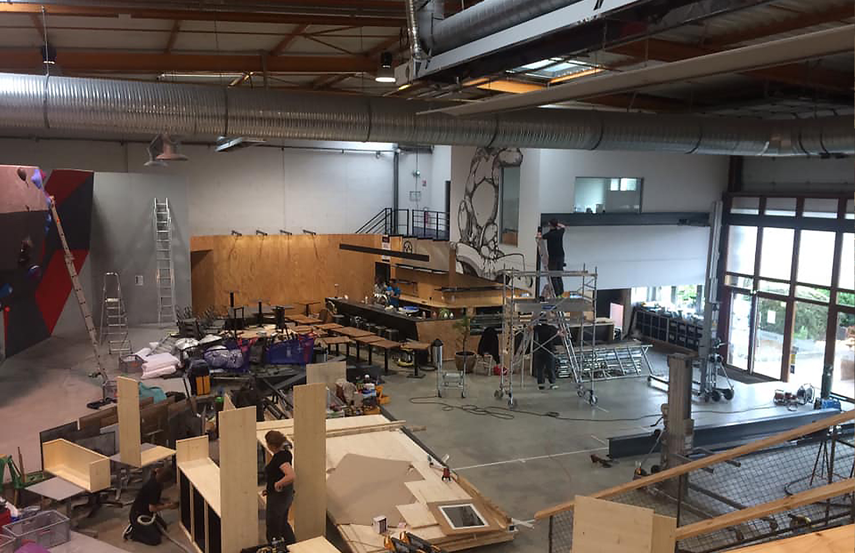 La forêt de peupliers